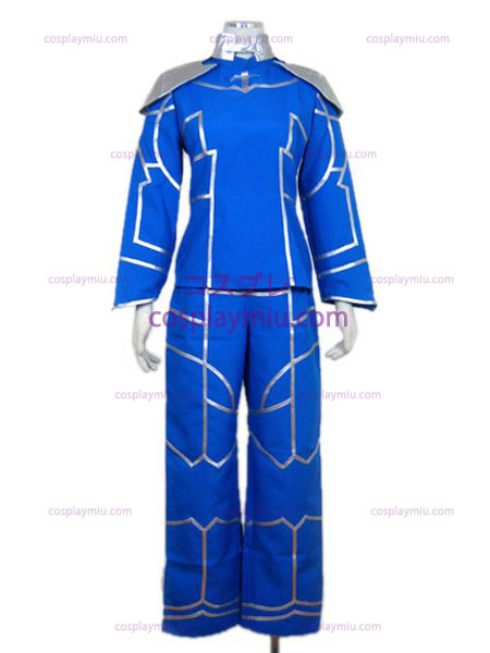 Fate/stay night Lancer cosplay costume