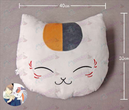 Cat teacher Pillow